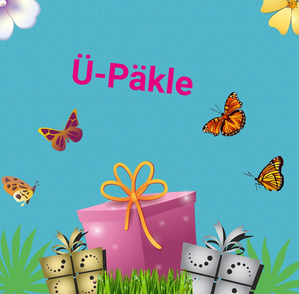 26648453_1520479811323141_904763956_n